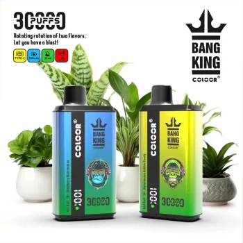 Bang King 30K(30000) Puffs New Double Flavor 0% 2% 3% 5% Nicotine LED Digital Display 36ml E-liquid Disposable Vape